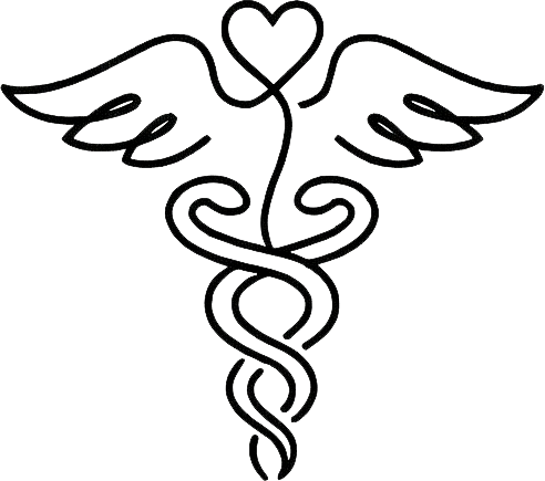 Healthcare Icon